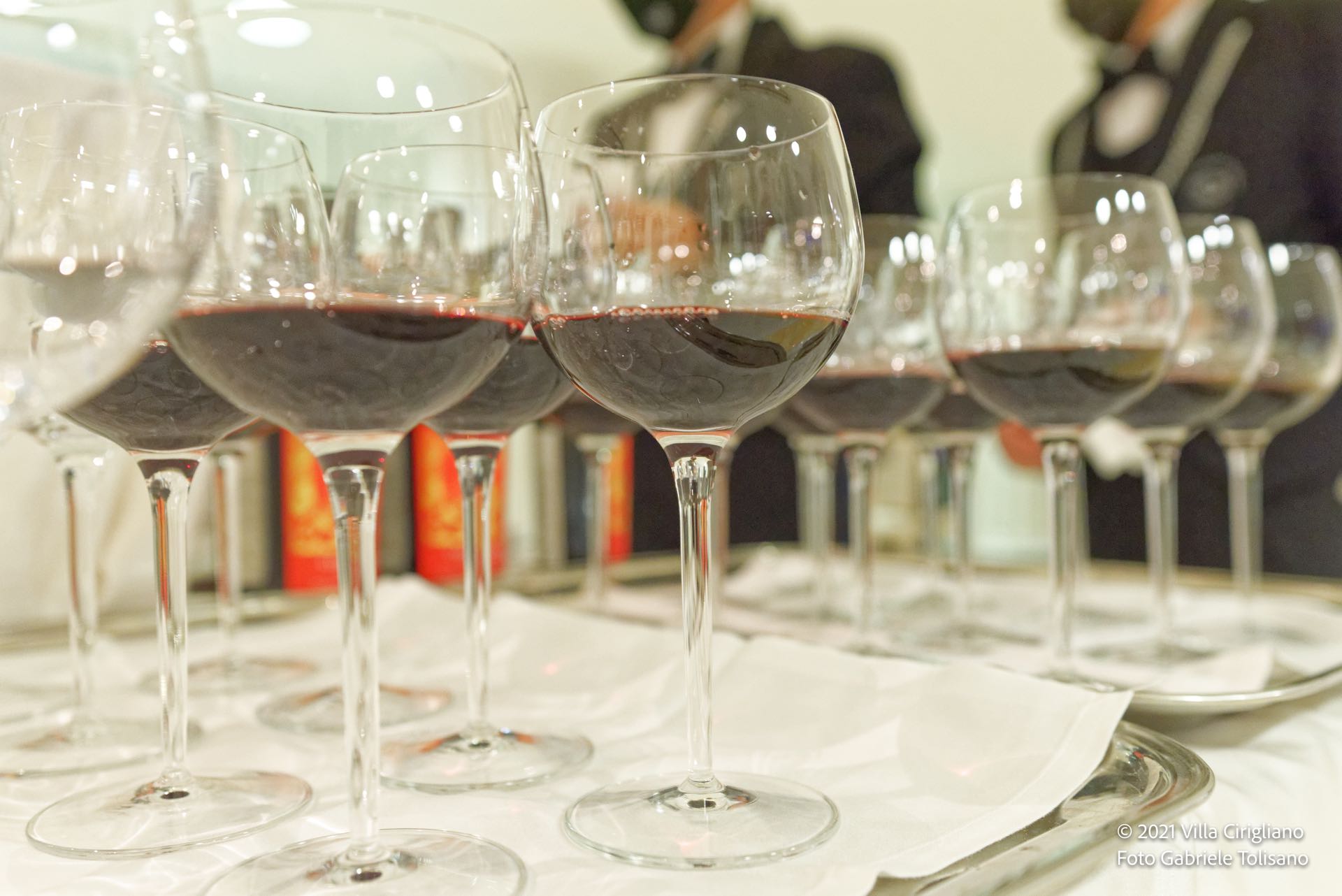 Degustazione vini pregiati